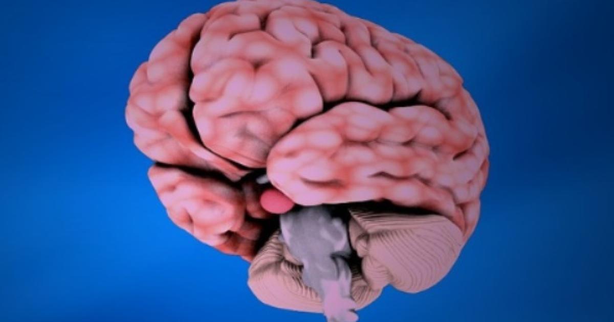 Imaging of the Human Brain in Health and Disease